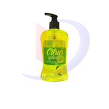 Antibacterial Hand Soap with Moisturizer (Bloom) Citrus Splash 500ml