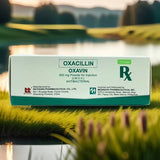 OXAVIN Oxacillin 500mg Powder for Injection (IM/IV) Vial 10's