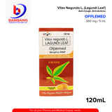 OFLEMED Lagundi Leaf Lagundi Leaf 300mg/5ml Syrup 120ml 120ml